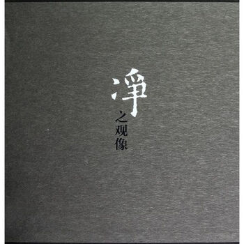 净之观像 祁和亮  书籍