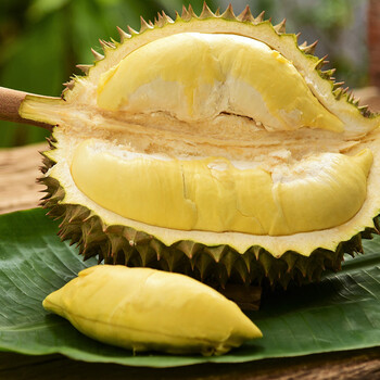 泰国巴掌榴莲泰国进口新鲜金枕头现摘68斤家庭装单大果