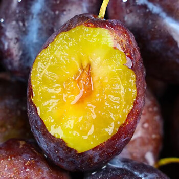 甘肃祁连山大西梅新鲜水果当季现摘爆甜法兰西蓝蜜西梅 1斤大果