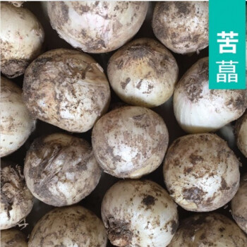 新貨四川苦藠苦叫苦蕌頭野小蒜苦茭團蔥野蔥頭薤白苦蒜小根蔥 三斤裝