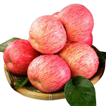 正宗陕西洛川红富士苹果10斤整箱冰糖心苹果孕妇新鲜水果5斤送礼生鲜5