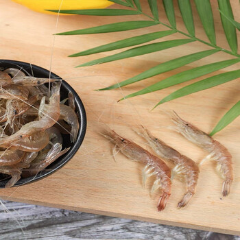 六鲜钓海 小河虾新鲜 青虾小草虾 冰鲜发货 生鲜海鲜水产 净重1斤试吃