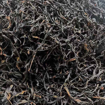 2022鸭屎香大乌清香与浓香装礼盒装500g 浓香型【图