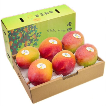 栩季澳芒海南三亚大芒果新鲜苹果芒当季特产孕妇水果礼盒礼盒装9斤