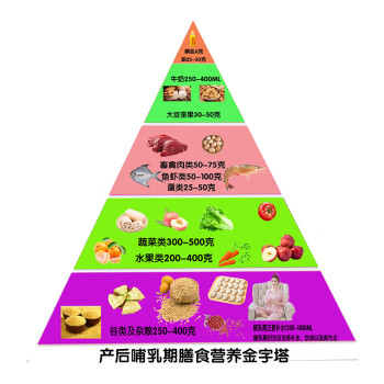 膳食寶塔模型 仿真食品中國居民平衡膳食寶塔模型健康食物營養金字塔