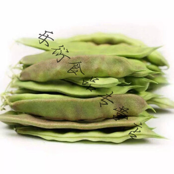 东北油豆角紫花油豆新鲜蔬菜东北油豆正宗一点红当季农家现摘现发正宗东北扁豆精选 3斤装 图片价格品牌报价 京东