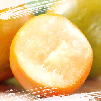 奢旺广西融安脆蜜金桔当季水果甜脆桔子新鲜水果5斤5斤脆蜜金桔xl果