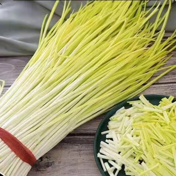 云南新鲜韭黄农家自种蔬菜2斤食用饺子馅食材500g