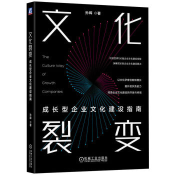 文化裂变：成长型企业文化建设指南  孙晖