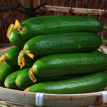 黄瓜新鲜小黄瓜水果小青瓜蔬菜山东旱生吃水果小黄瓜5斤装