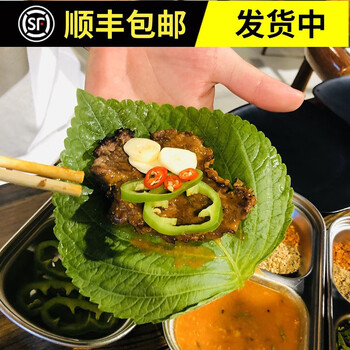 顺丰新鲜紫苏叶苏子叶韩式烤肉叶绿色蔬菜250g