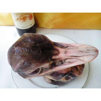 春光岛鸵鸟肉新鲜腿肉去筋膜精肉整只鸵鸟腿肉烧烤食材生鲜鸵鸟头2斤