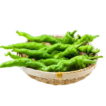 螺丝椒线椒青辣椒辣椒新鲜现摘鲜辣椒薄皮青椒线椒螺