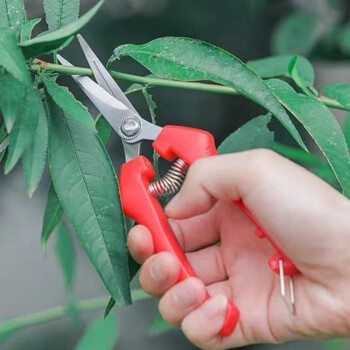 豪霆现货速发摘花椒神器防止扎手专用采摘机手持式新款剪花椒枸杞农具