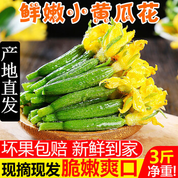 大地果缘新鲜小黄瓜花3斤当季鲜嫩迷你青瓜苗顶花西餐厅特产蔬菜2斤 图片价格品牌报价 京东