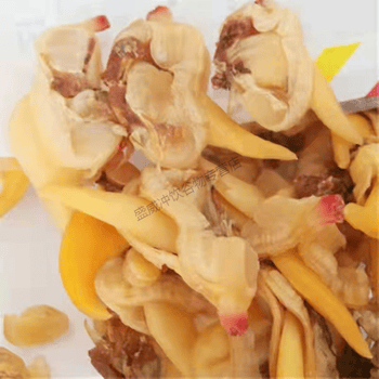落蓝丹东大黄蚬子干无沙去脏蚬子肉新鲜蛤蜊肉干货即食黄蚬子丹东特产