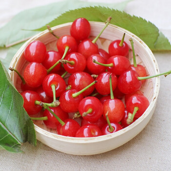四川小樱桃 新鲜现摘袖珍土樱新鲜水果 2斤