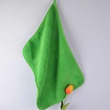 挂式双层加厚抹布擦手抹布 珊瑚绒微纤维抹布 吸水 绿色25*35厘米