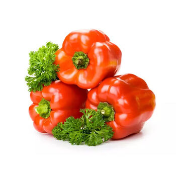 采缇(caiti)新鲜圆椒彩椒甜椒生吃沙拉菜现摘现发 红色 3斤