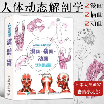 人体动态解剖学 漫画 插画 动画新 摘要书评试读 京东图书