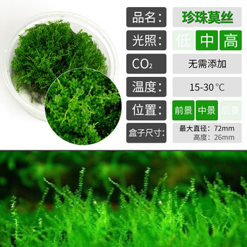 水草缸活体水草迷你矮珍珠爬地红绿宫廷moss莫斯造景植物无菌杯派采