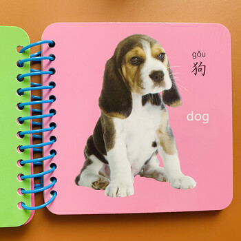 动物图片撕不烂加厚彩色卡宝宝安全早教启蒙看图认动物世界卡片012