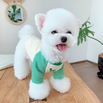唐宠狗狗衣服春夏款狗狗猫咪小型泰迪宠物雪纳瑞比熊猫猫衣服薄绿色