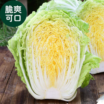 净樱山东潍坊大白菜新鲜10斤鲜嫩蔬菜农家自种黄心包心菜整颗白菜10斤