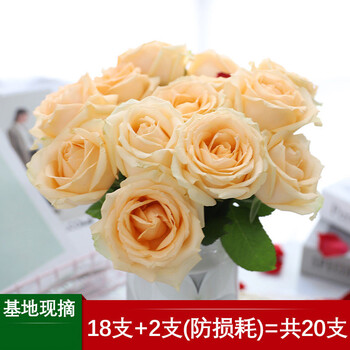 鲜花批发云南昆明直发玫瑰花花束荔枝鲜花速递直批家用水养插花支香槟玫瑰18朵 2朵防损耗 带随机配草 带保鲜剂 图片价格品牌报价 京东