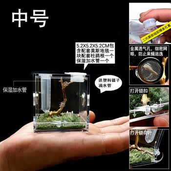 元至夏爬虫跳蛛饲养盒鸣虫亚克力蜘蛛螳螂蝈蝈蛐蛐昆虫罐佛跳造景中号