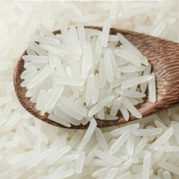 新大米5斤煲仔饭专用丝苗米油粘米长粒香米5斤批发25kg5斤丝苗米