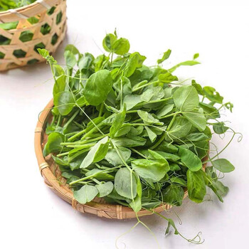 鲜脆豌豆尖 豌豆苗豌豆头豌豆叶火锅菜 1斤【图片 价格 品牌 报价】-
