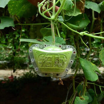 葫芦定型模具水果定型模具方形西瓜黄瓜文玩葫芦造型生长果磨模具模型