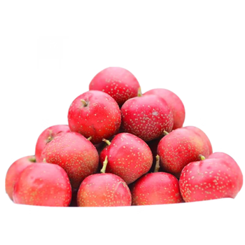 精选现发新鲜山楂果水果精品山楂果红糖葫芦农家自种现摘现发3斤山楂