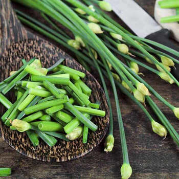 媚调韭菜新鲜头茬韭菜韭苔山东寿光农家现割现发韭菜净重2斤5斤 韭苔5