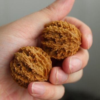 yoyp 精选老树野生矮桩闷尖官帽核桃文玩把件多刺扎手京八对圆润