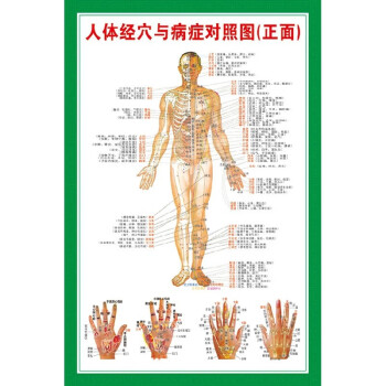 24小时人体经络运行图图片