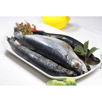 魃鲜生鲜海青鱼新鲜青鱼青占鱼青条鱼海鲜水产4斤装青鱼