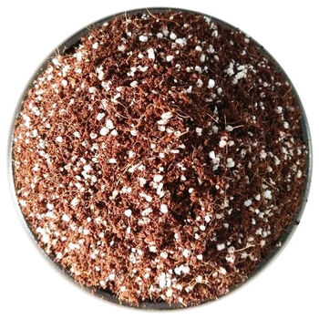 沙漠玫瑰专用土5kg 沙漠玫瑰专用营养土通用型家用种植酸性土肥料