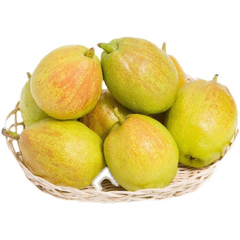 香妃梨新鲜水果香妃蜜梨酥梨整箱礼盒装现货发出 精选 10斤礼盒装