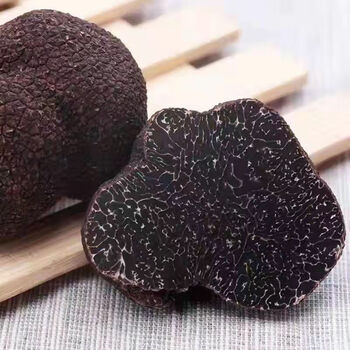 蜀逍肴新鲜黑松露现货云南特产香格里拉高黎贡山黑松露块菌食材新鲜黑