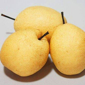 甘肃特产正宗兰州热冬果梨水果新鲜脆甜多汁冻梨香水梨非东北梨 大果
