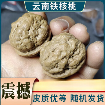 极享野生文玩核桃云南铁核桃文玩金蟾蛤蟆头羊头蟾麒麟元宝四棱3对