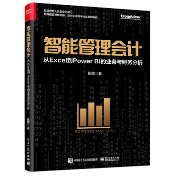 智能管理会计：从Excel到Power BI的业务与财务分析（全彩）