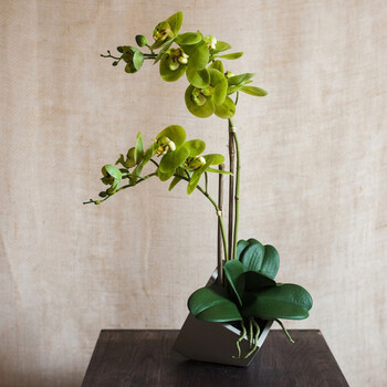 掬涵仿真花蝴蝶兰盆景手感材质装饰摆件设计师几何造型礼物几何方盆2