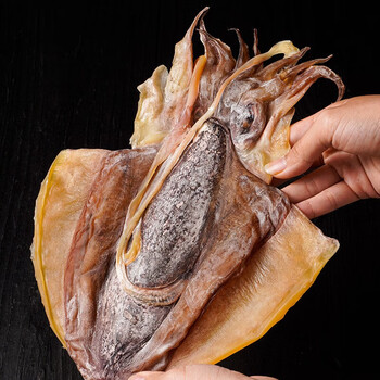 北海淡水大号墨鱼干货非目500g木乌贼海鲜海产品煲汤 精选大号墨鱼1斤