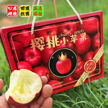 花匠汇正宗云南昭通小苹果当季新鲜采摘脆甜冰糖心红露3斤礼盒4斤60mm