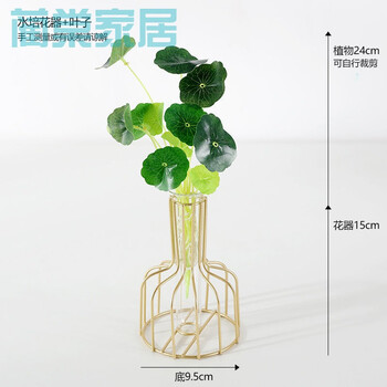 Ins风北欧试管透明玻璃花瓶摆件创意客厅干花插花花器桌面装饰品花器 小荷叶 图片价格品牌报价 京东