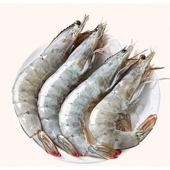 桃西村 大虾鲜活超大厄瓜多尔白虾速冻新鲜海捕冷冻虾类海鲜水产 1650