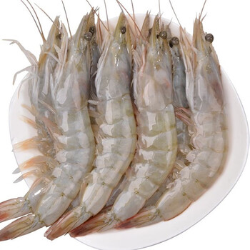【活鲜】御食之鲜 海白虾鲜活 新鲜大虾 海鲜水产活虾 500g 30只左右